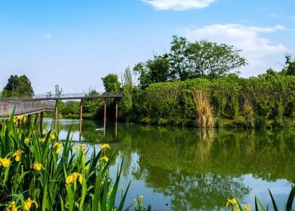 asia